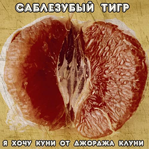 Саблезубый Тигр