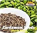 Rani Cardamom (Elachi) Decorticated Seeds Indian Spice 7oz (200g) ~ All Natural | Vegan | Gluten Friendly | NON-GMO | Kosher | Indian Origin