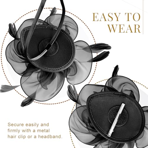Image of DRESHOW Fascinators Hat Tea Party Headwear Ribbons Feathers on a Headband and a Clip for Women