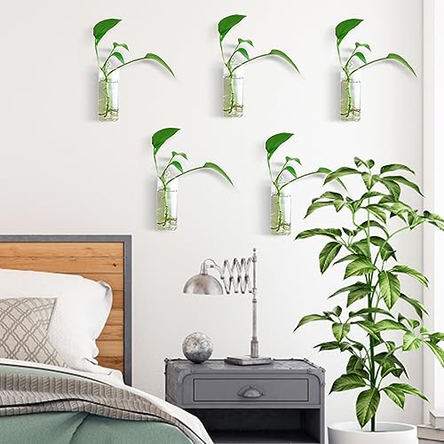 Cezoyx 6 Pack Wall Hanging Glass Planter - Plant Propagation Stations Wall Glass Terrarium Square Wall Vase For Propagating Hydroponic Plants Home Garden Wedding Decor thumb #4