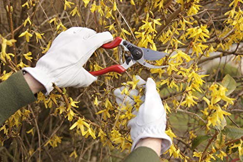 Spear & Jackson 6459BS Razorsharp Bypass-Gartenschere für Linkshänder, Rot