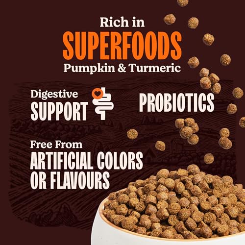 Image of Kennel Kitchen Dry Dog Food Adult 100g | Fresh Chicken with Superfoods - Pumpkin & Turmeric | Probiotics for Digestive Support | No Artificial Colors or Flavours | Complete & Balanced for All Breeds