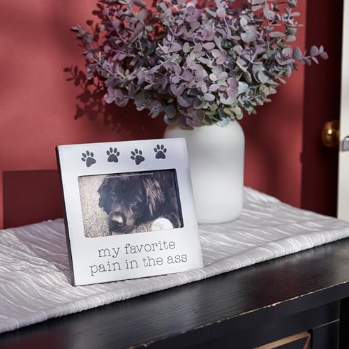 Primitives-by-Kathy-Favorite-Pain-Photo-Frame Primitives by Kathy Favorite Pain Photo Frame