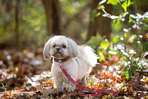 Pets First UAZ-3031-LG Ncaa Pet Leash, Large thumb #3