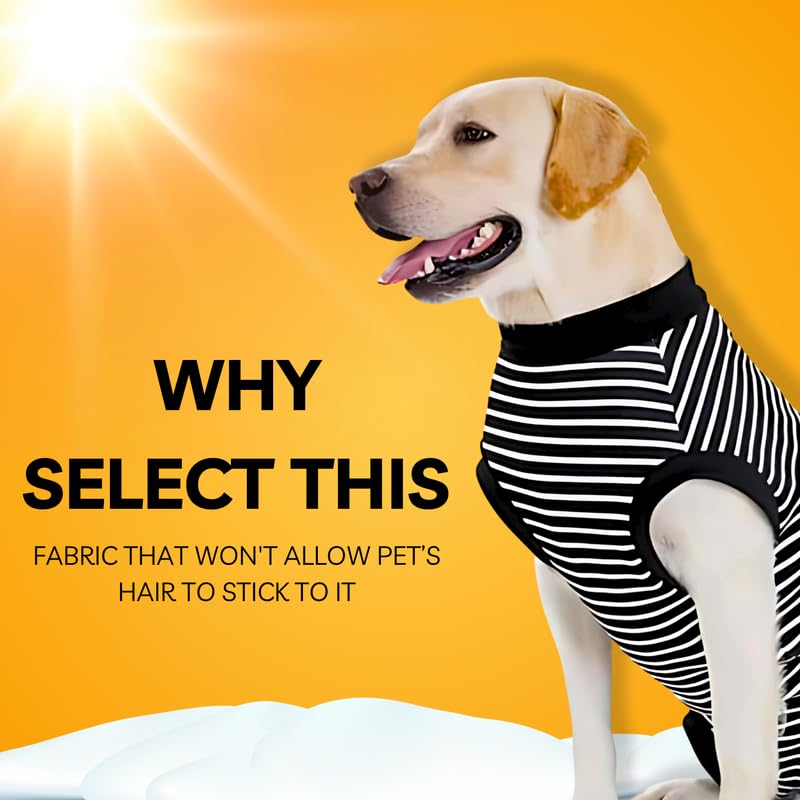 Pets Empire Soft Winter Dog Sweater (26-Inch), Black | Cozy Knit Protection | Warm & Gentle | Ideal for Large Breed Adult Dogs 3