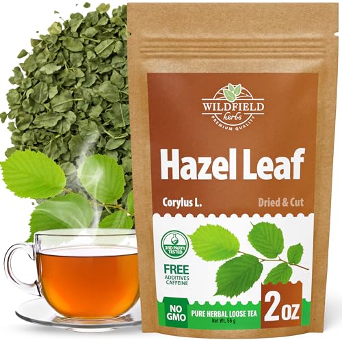Image of 2 oz. Hazel Leaf Herbal Tea (Folium Coryli avellanae) - 56g Dried Hazel Leaf Tea Hojas de Avellano