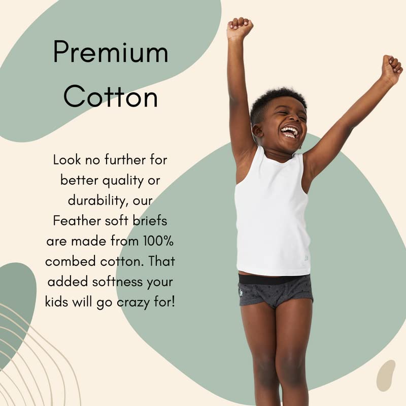 Feathers Boys' Cotton Strech Tagless Briefs Underwear - (3/pack)4