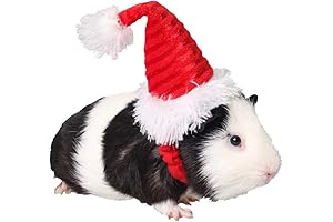 ANIAC Christmas Hamster Hats & Guinea Pig Santa Costume