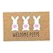 Pasqua Pasemat - tappetino di ingresso esterno, non slip, a pavimento durevole, porta anteriore decorativo | Elegante zerbino di Pasqua per decorazioni di entrata per la casa p immagine