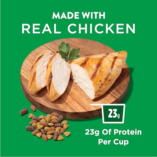 Dog Chow Complete Dry Dog Food, Chicken - 14 kg Bag - Image 6