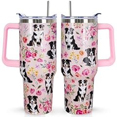 Australian Shepherd 01