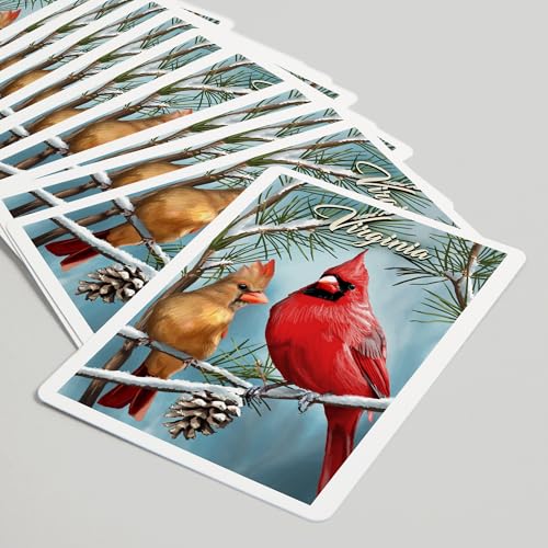 Lantern Press Virginia, Naipes Póker 52 Cartas para Adultos miniatura 5