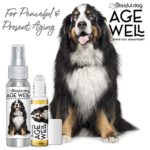The Blissful Dog Bernese Mountain Dog Age Well Spray Aromatherapy The Blissful Dog Bernese Mountain Dog Age Well Spray Aromatherapy