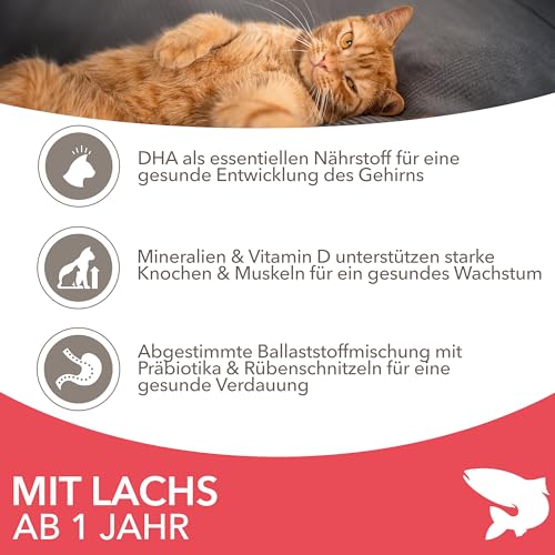 IAMS for Vitality Katzenfutter trocken mit Lachs - Trockenfutter für Katzen im Alter von 1-6 Jahren, 1,5 kg