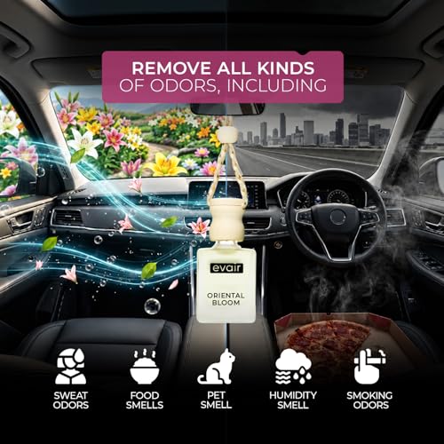 Image of Evair Car Air Freshener with Essential Oils Fragrance in Glass Bottle with Wooden Diffuser Lid | 10 ml - Pack of 1 (Oriental Bloom)