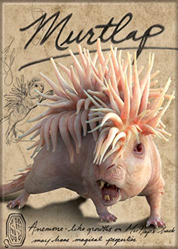 Fantastic Beasts Murtlap Magnet for Refrigerators and Lockers