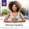 Designs for Health NeuroRenew - 5-MTHF with Vitamin B6 (p-5p), Methyl B12, Acetyl L-Carnitine, B1 (Benfotiamine) + More - Supports Healthy Nerve Function - Non-GMO Supplement (120 Capsules)