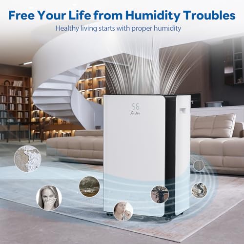 Dehumidifier for Large Basement with Drain