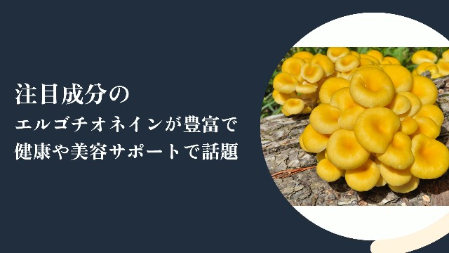 【35%OFF】リプサ タモギタケ粒 約6ヶ月分 タモギダケ サプリメント Amazon.co.jp: リプサ タモギタケ粒 約1か月分×3袋 T-786-3 (30
