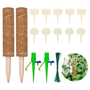 Halcyerdu 2 Stuks kokosnoot sticks (30 cm /11.8 inch) 2 Automatische Plant Watering, 10 Houten etiketten, 50 plantenstokken,voor Plant Support Extension, Kokosmos Totempaal Plant Pijler Coir moss