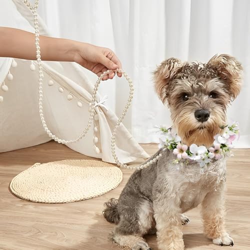 Hunde Hochzeits Blumenhalsband, Hunde Hochzeitshalsband Blumenhalsband Hund Hochzeit Weibliches Welpenhalsband mit Blumenaccessoire mit Hundeleine für Mittelgroße Hunde Haustiere Foto-Requisite