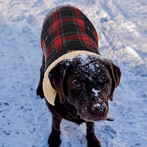 CITÉTOILE Warme Hundemantel Fleece, Wintermantel Winterjacken für Kleine/Große/Mittlere Hunde, Hundejacke Hundekleidung Hundepullover mit Geschirrloch für Outdoor Indoor, Rot, M