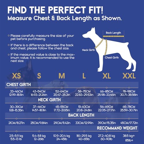 ASENKU Schwimmweste Hund Mittel M,Verstellbar & Ripstop Hundeschwimmweste,Rettungsweste für Hunde mit Griff und Reflektierend, Hunde Schwimmweste für Chihuahua,Dackel,Französische Bulldogge, Labrador