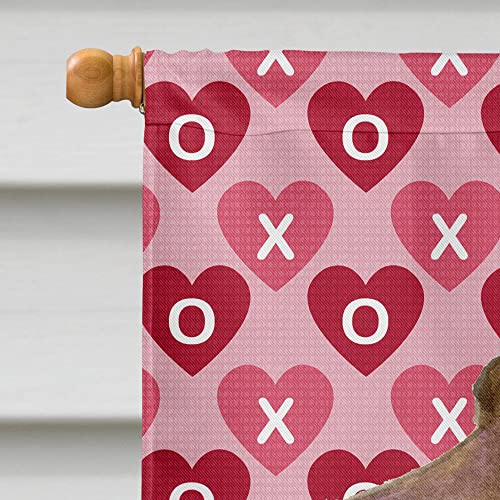 Drapeau Field Spaniel grand format extérieur en toile résistante pour maison et jardin - 4