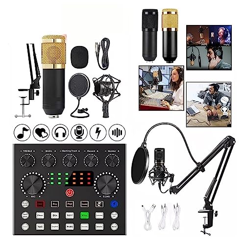 Paquete de Interfaz de Audio y micrófono Profesional: Equipo de grabación de Estudio con Tarjeta de Sonido en Vivo, Brazo de Tijera, Soporte Amortiguador y filt