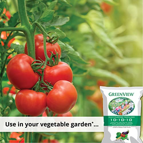 Greenview 2129872 Multi-Purpose Fertilizer, 33 Lb Bag - Npk 10-10-10 #TOP3
