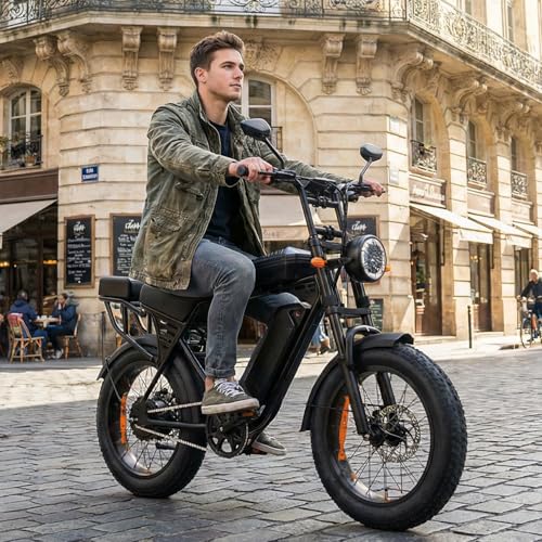 Eleglide E Bike Herren mit 48V 15Ah Batterie, 20 * 4.0 Zoll, Elektrofahrrad mit LCD-Display, All-Terrain E-Bike mit 250W Motor & 25km/h, 3 Fahrmodi,3 Geschwindigkeitsmodi, Reichweite bis zu 80+km