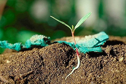 Bloomin Seed Paper Shapes Packs - Flower Shapes - 100 Shapes Per Pack - 2.8X2.5 {Color Mix} By Bloomin #TOP2