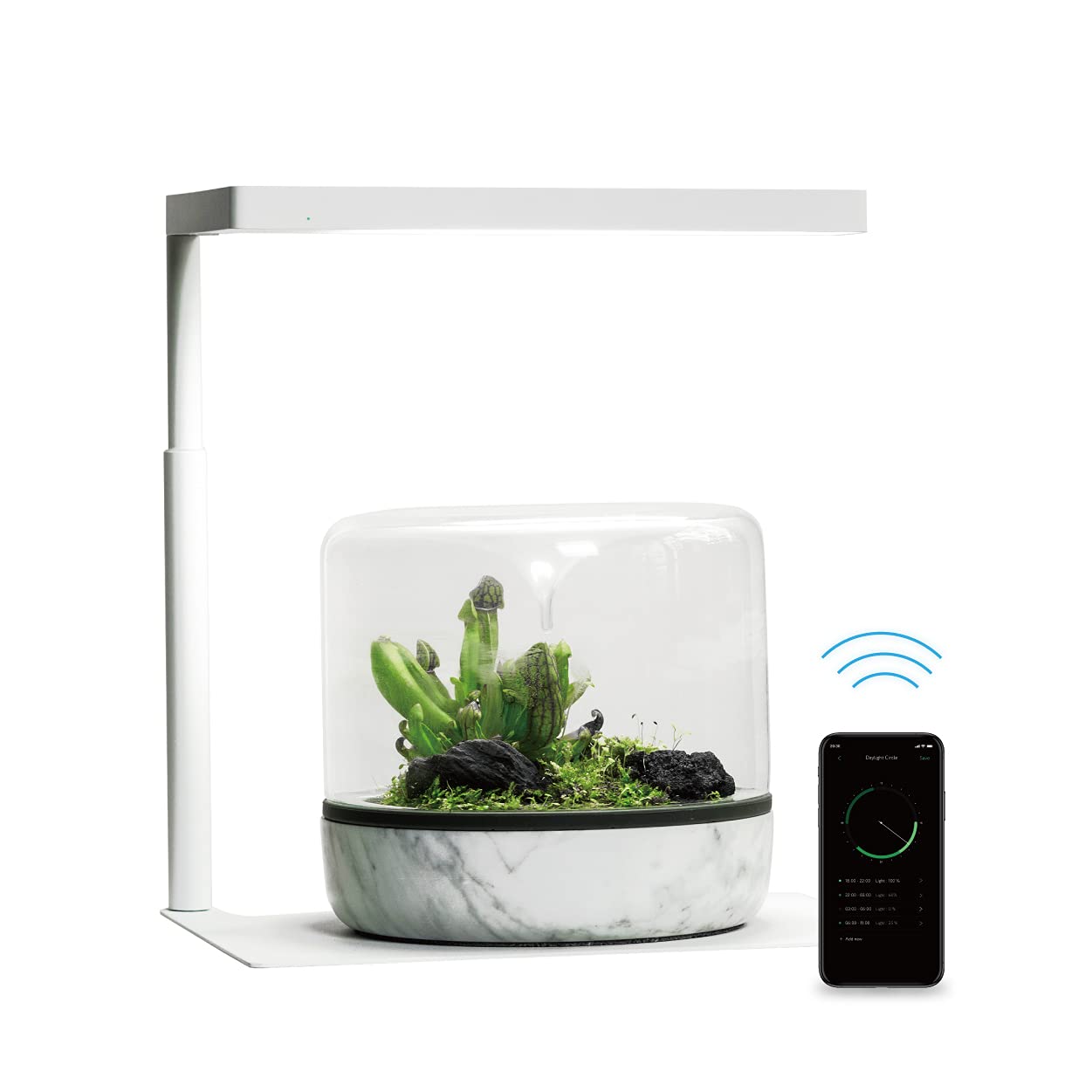 Amazon.co.jp: ONF 水槽 ライト LED ライト タイマー 付き