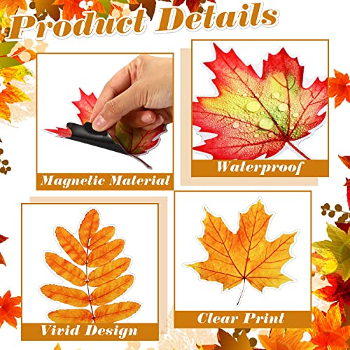 Konohan 12 imanes decorativos hojas de otoño miniatura 4