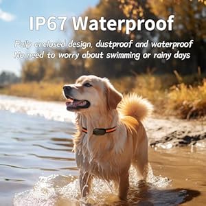 Gps 4g Tracker Health Monitoring for Dog with Led Light Upsounding Waterproof Gps Location Smart Pet Activity Tracker Super Long Standby Time Unlimited Range Use for Dogs Collar Cucciolini Doodles Gps 4g tracker health monitoring for dog with led light upsounding waterproof gps location smart pet activity tracker super long standby time unlimited range use for dogs collar cucciolini doodles