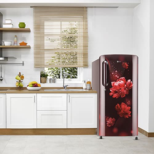 Image of LG 190L 5 Star Smart Inverter Direct-Cool Single Door Refrigerator (GL-B201ASCZ, Scarlet Charm, Fastest Ice Making), Free 1 Year Extended warranty