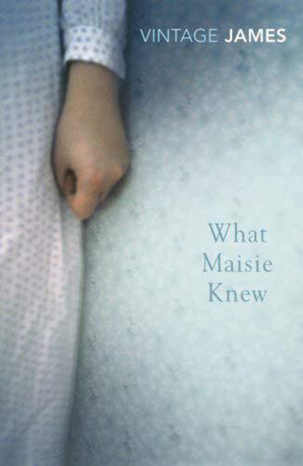 Buy What Masie Knew — BookShops.in