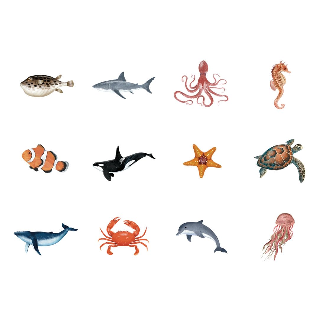 APLI Kids 20054 - Pack 4 rollos de gomets educativos círculos 33mm con temática sobre animales marinos, terrestres, exóticos y pájaro- ilustración realista