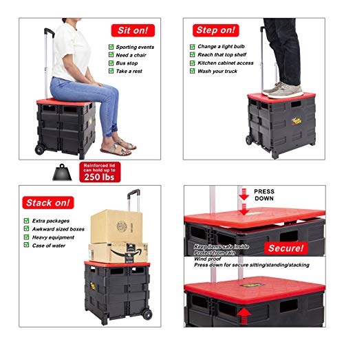 Dbest Products Quik Cart Collapsible Rolling Crate On Wheels For Teachers Tote Basket 80 Lbs Capacity, Made From Heavy Duty Plastic And Used As A Seat, Standard, Red #TOP1