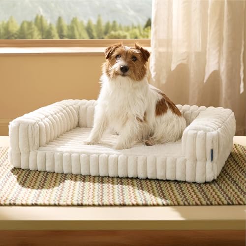 BEDSURE orthopädisches Hundebett für mittelgroße Hunde - 76x51x16.5cm wasserdichtes Hundesofa mit Memory-Schaum & Eierkarton-Schaum, waschbarer und Abnehmbarer Cordbezug Hundecouch, Creme
