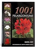 1001 Pelargoniums