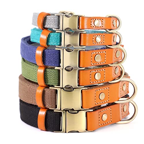 Didog Durable Dog Collars, Adjustable Pet Collars With Metal Buckle For Small Medium Large Dogs, Teal, M #TOP6