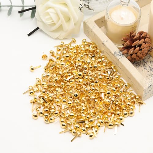 Pine & Linen 300 Pcs Brass Fasteners Scrapbooking Brads, Round Head Plated Fasteners for Paper Crafts, Decorative Scrapbooking DIY Supplies for Craft Art/School Projects(8 * 15mm/0.3 x 0.6Inch)