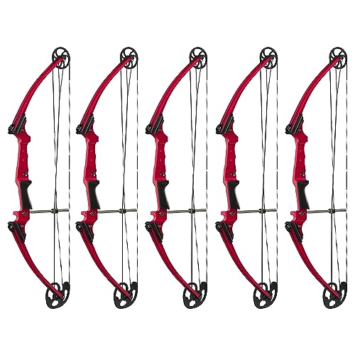 Genesis Archery Compound Bow w/Adjustable Draw Length from 15