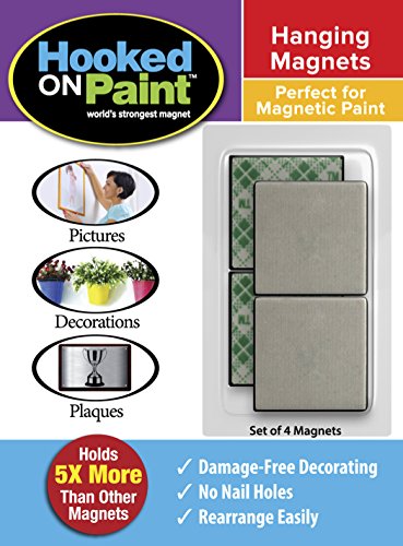 Hooked on Paint Hanging Magnets
