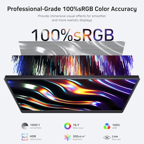 Image of Anyuse 18.5 inch 100Hz FHD IPS USB-C HDMI Portable Monitor