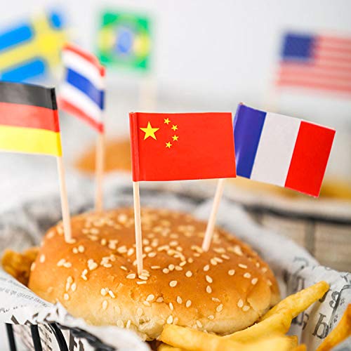 Anley Assorted 100 Different Countries Toothpick Flag - Vivid Double Sided Print & Solid Smooth Pick - Party Decoration Cocktail Fruit Stick Cupcakes Toppers(100 Pcs) #TOP6