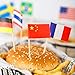 Anley Assorted 100 Different Countries Toothpick Flag - Vivid Double Sided Print & Solid Smooth Pick - Party Decoration Cocktail Fruit Stick Cupcakes Toppers(100 pcs)