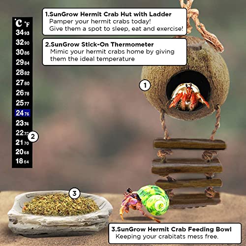 SunGrow Hermit Crab Coco Hut with Ladder, Cave Habitat with Hanging Loop, Large - Image 6
