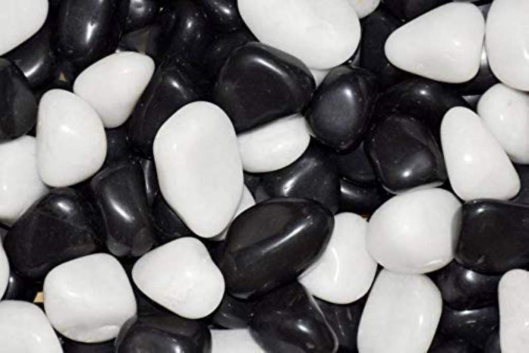OhhSome Polished White & Black Mix Colour Natural Pebbles Round Shaded Marbles Aquarium for Vase Fillers, Gems Stone, Table Scatter, Landscaping, Fish Tank, Party Decoration, Crystal Rocks [1Kg] (B08LCBGC59) Amazon Price History, Amazon Price Tracker